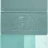 TC®F493.01 Суперконцентрат бирюзовый